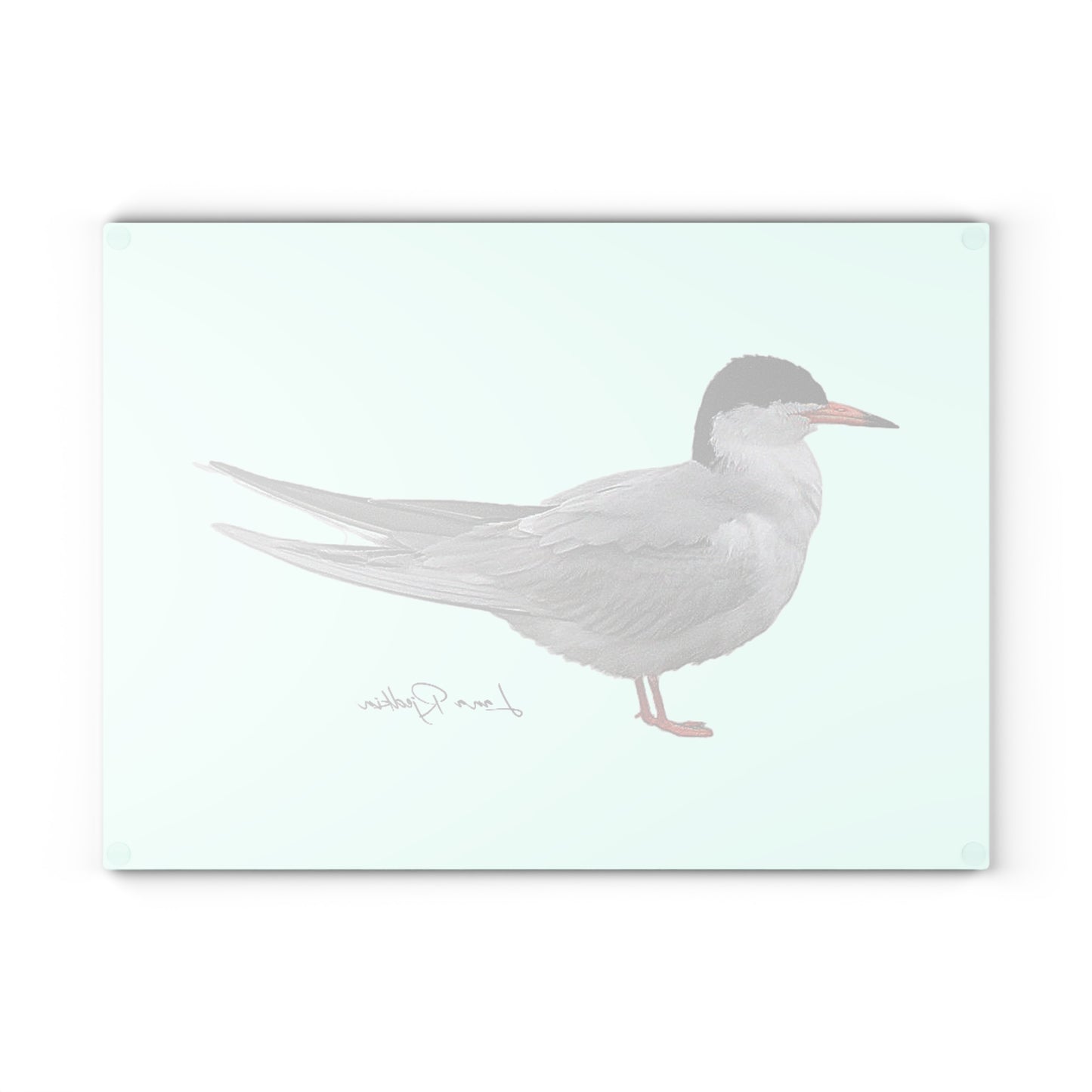 Common Tern: Glass Cutting Board