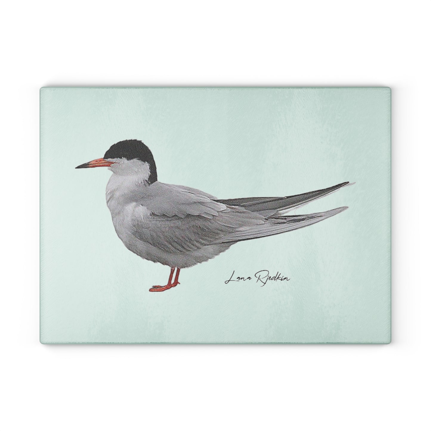 Common Tern: Glass Cutting Board