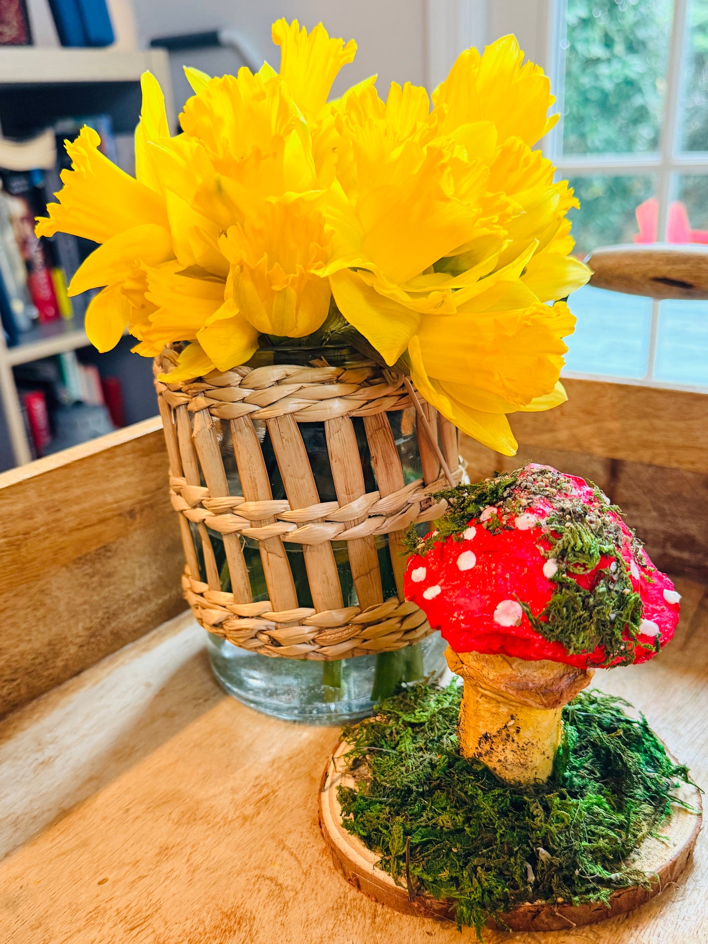 Amanita Muscaria - 2