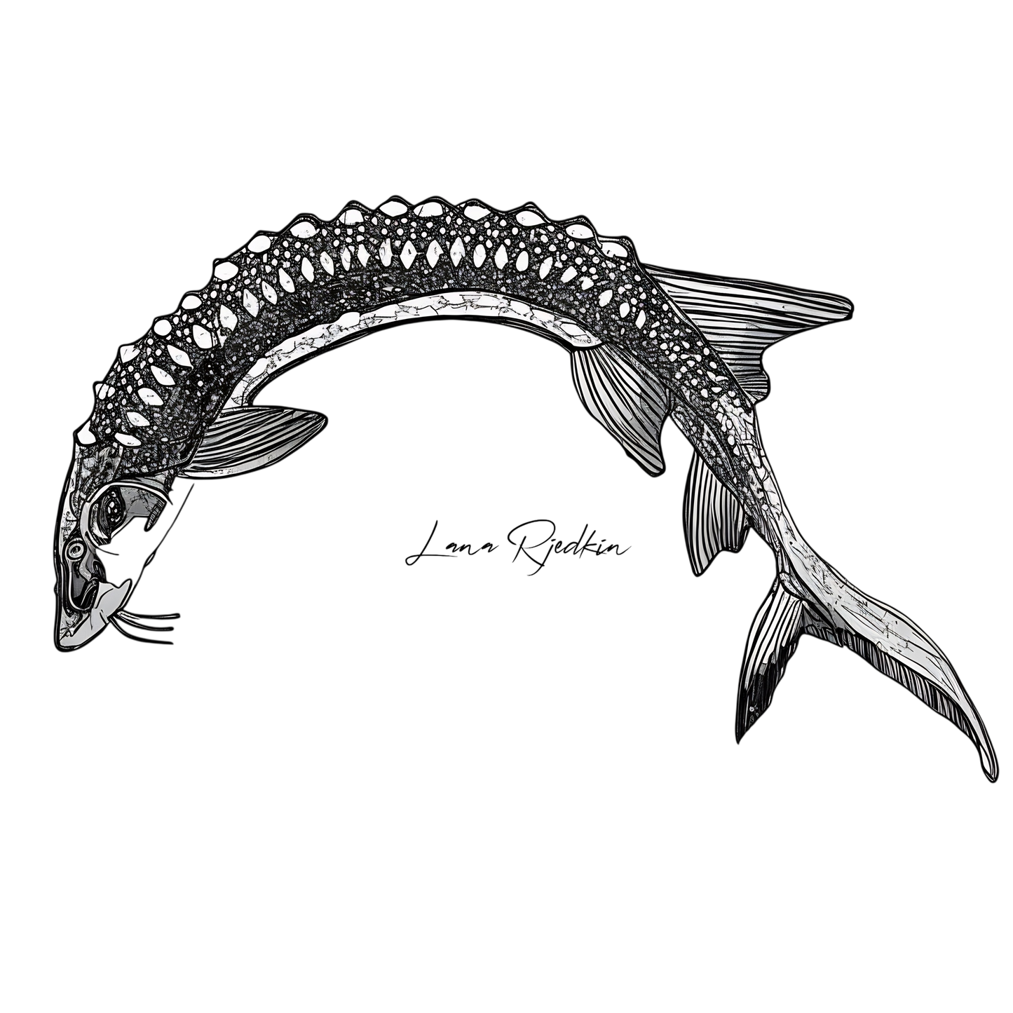 Black and White Sturgeon