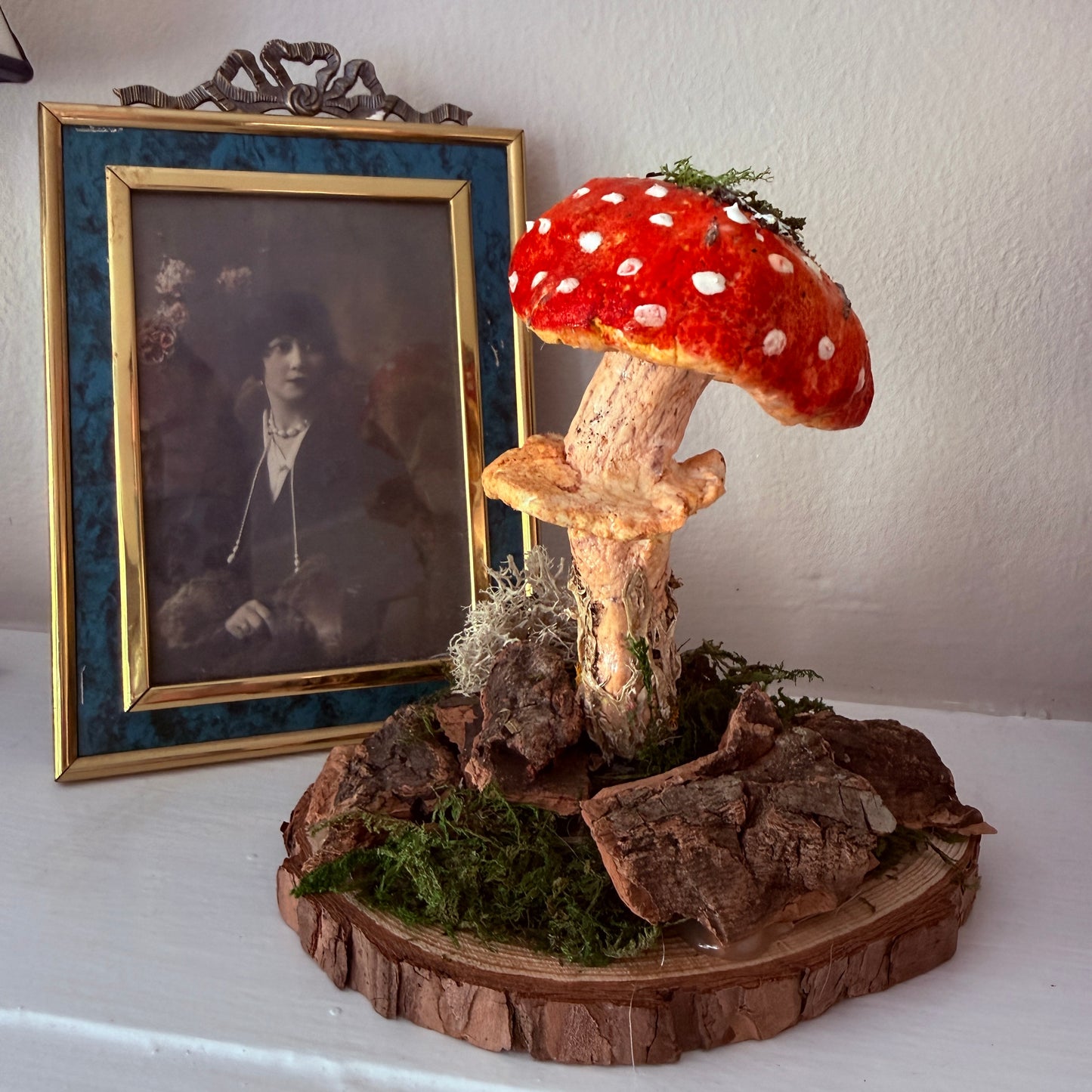 Amanita Muscaria