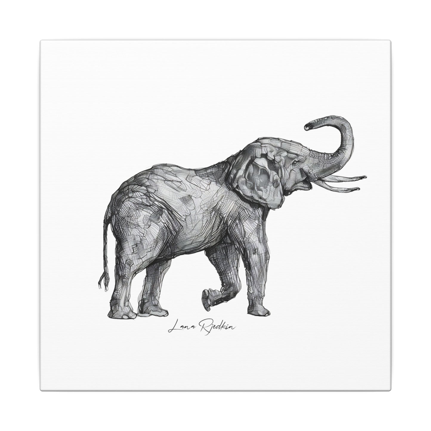 Elephant Sketch Canvas Print — Black & White Wildlife Wall Art
