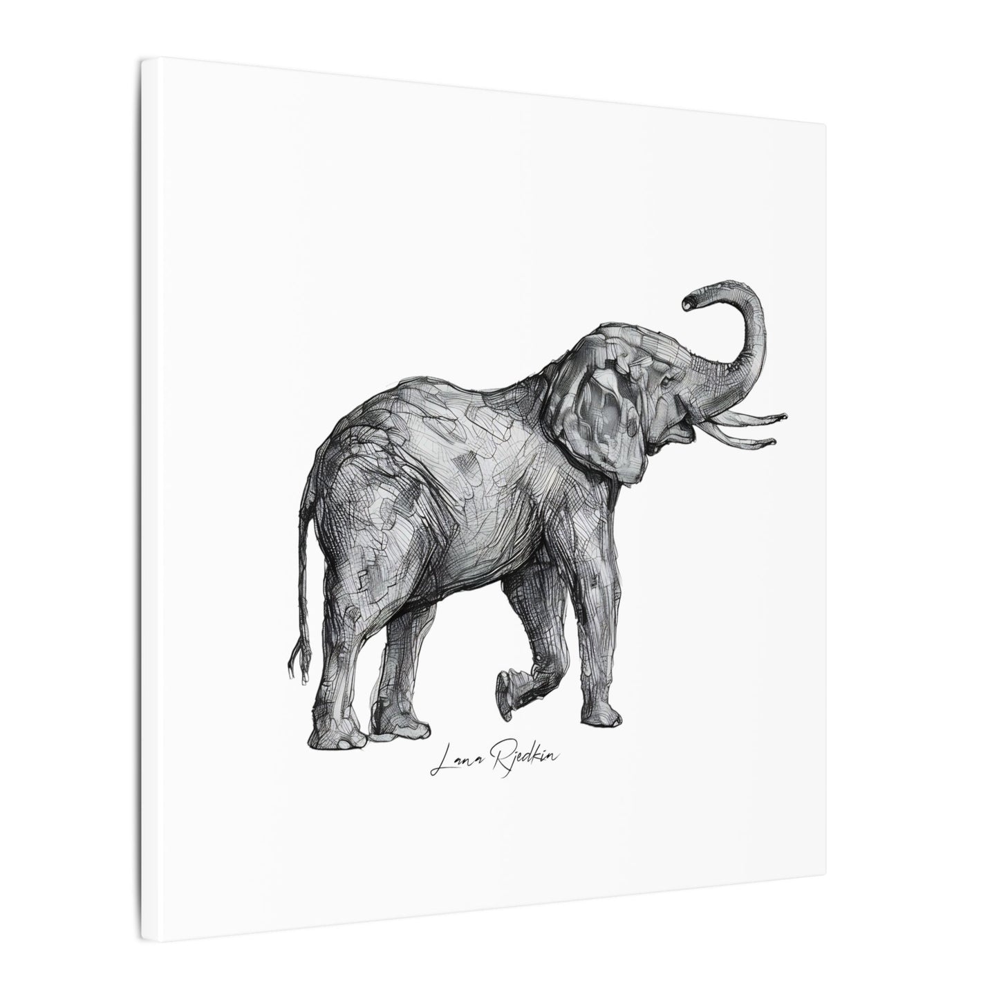 Elephant Sketch Canvas Print — Black & White Wildlife Wall Art
