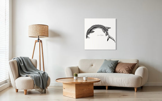 Black and White Sturgeon