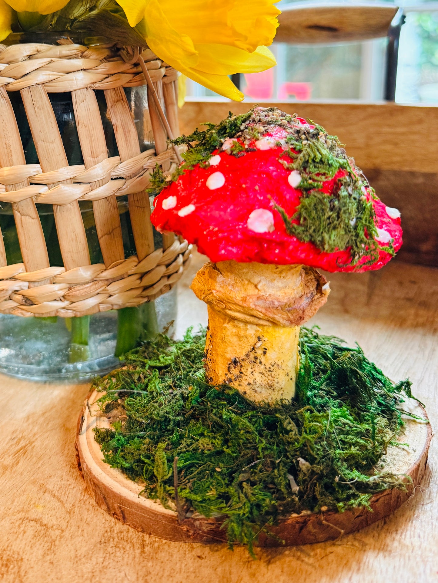 Amanita Muscaria - 2