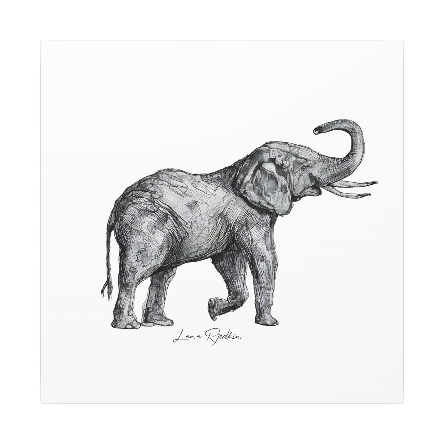 Elephant Sketch Canvas Print — Black & White Wildlife Wall Art