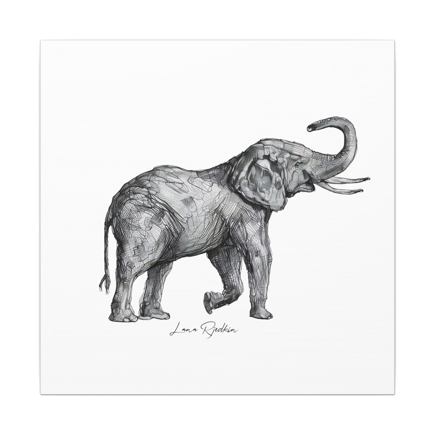 Elephant Sketch Canvas Print — Black & White Wildlife Wall Art