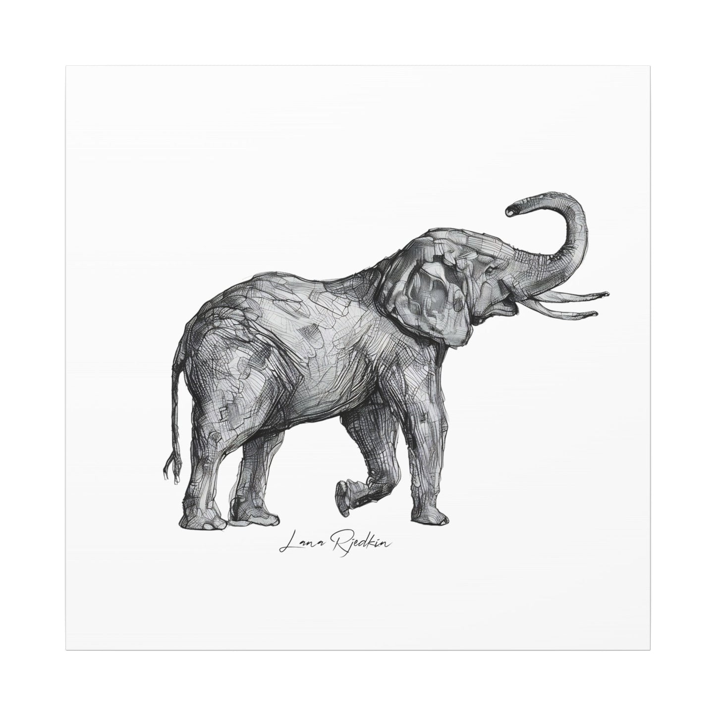 Elephant Sketch Canvas Print — Black & White Wildlife Wall Art