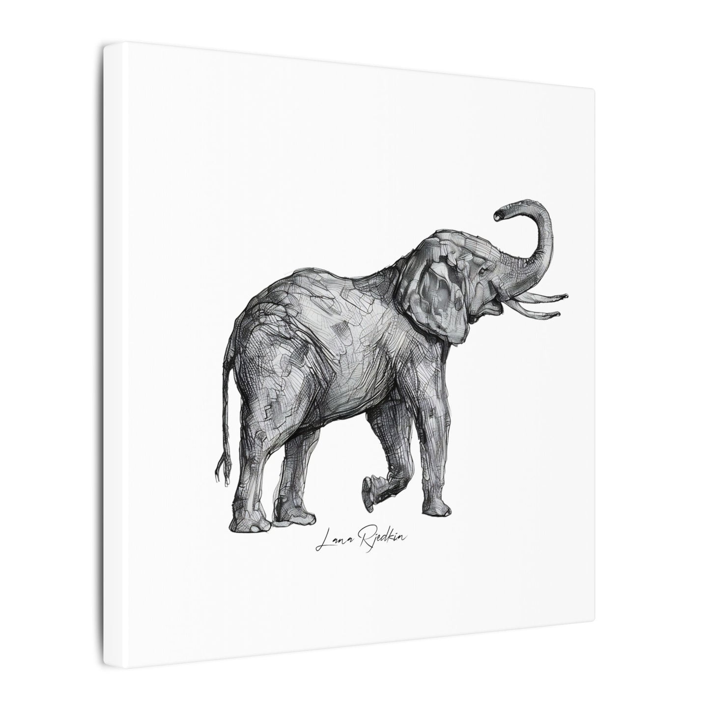 Elephant Sketch Canvas Print — Black & White Wildlife Wall Art