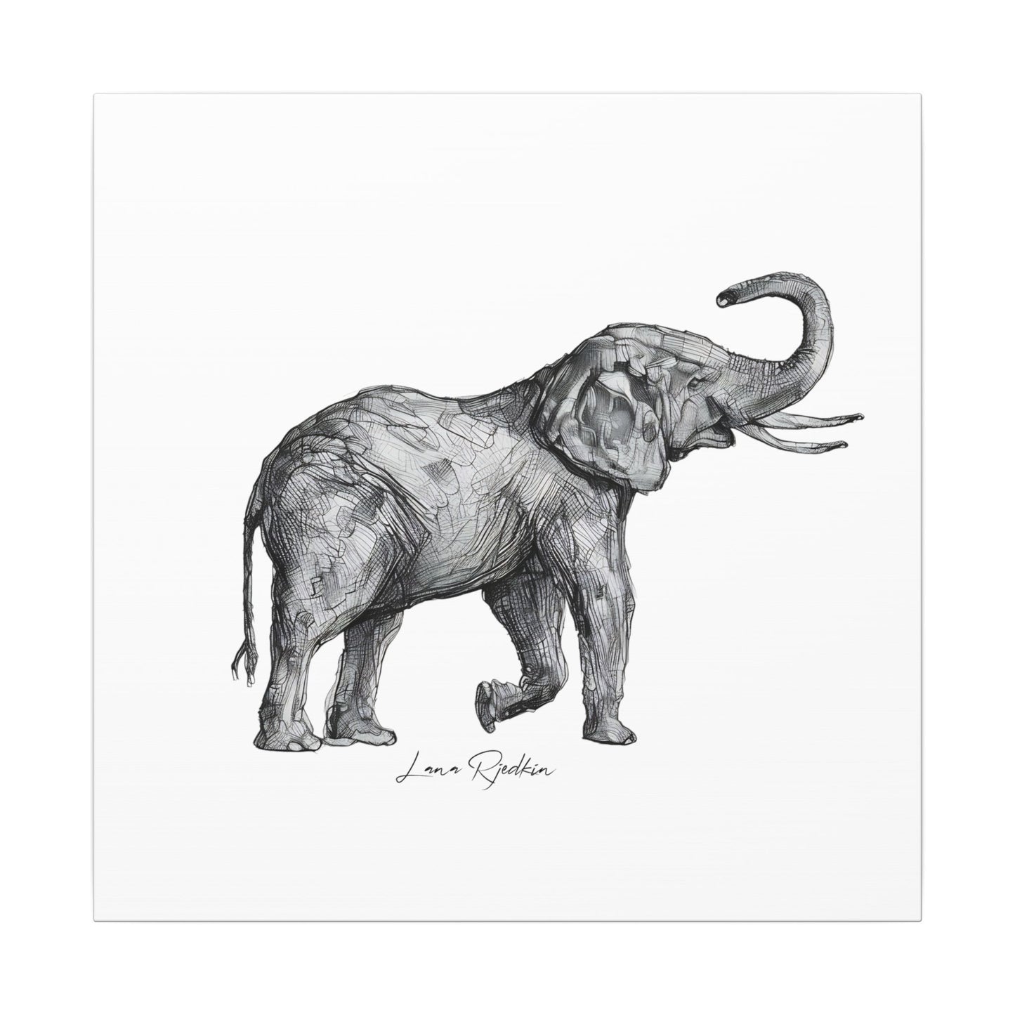 Elephant Sketch Canvas Print — Black & White Wildlife Wall Art