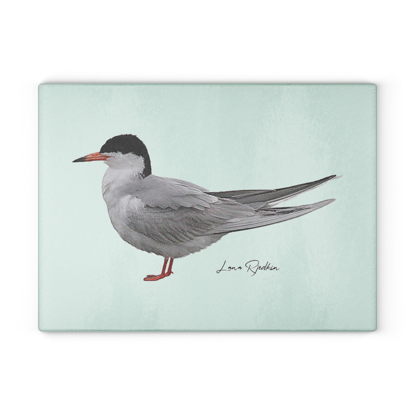 Common Tern:  Glass Cutting Board