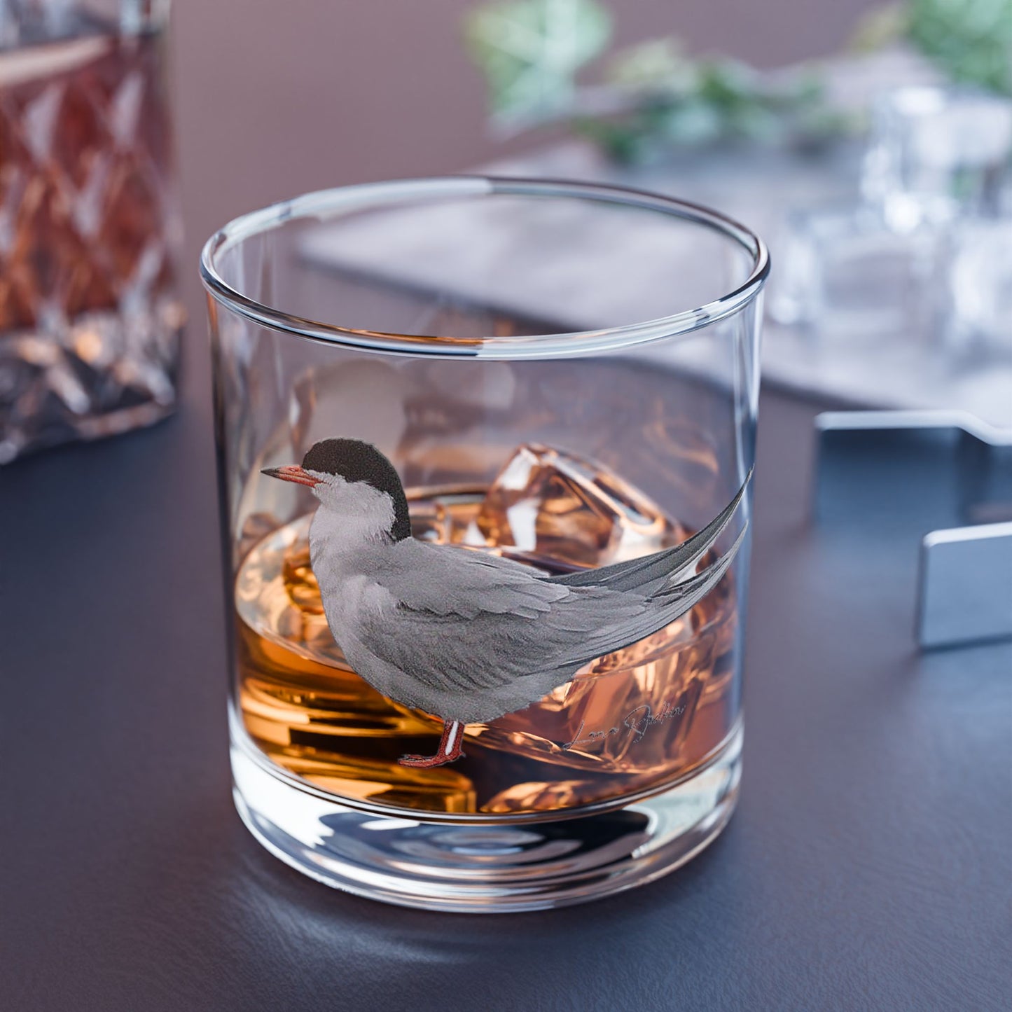 Common Tern:  Rocks Glass, 10oz