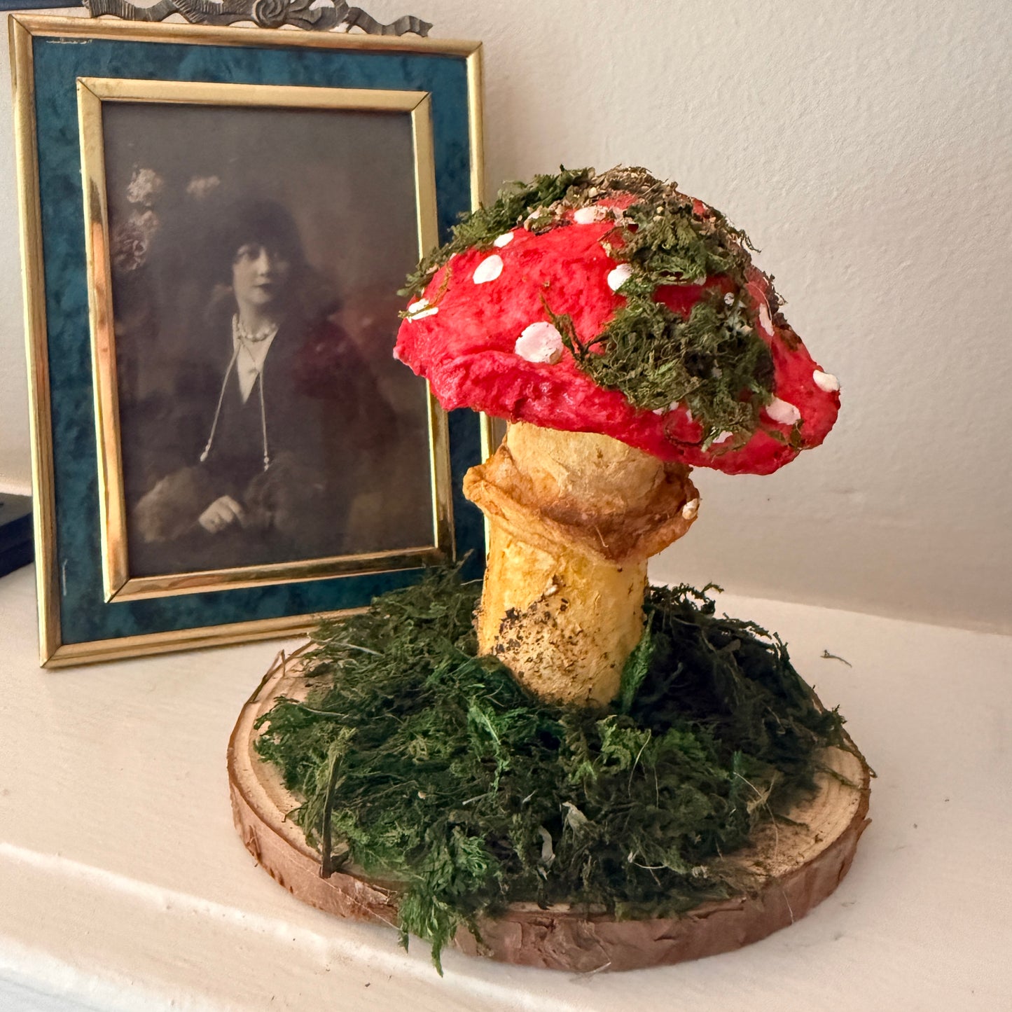 Amanita Muscaria - 2